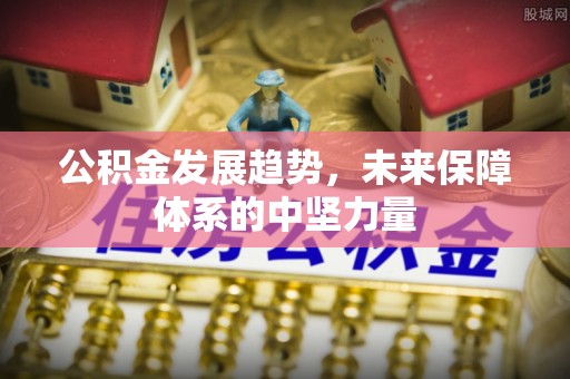南湖公积金发展趋势，未来保障体系的中坚力量