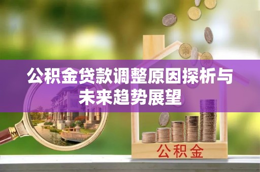 南湖公积金贷款调整原因探析与未来趋势展望