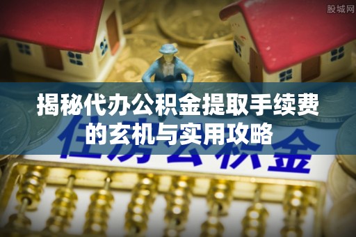南湖揭秘代办公积金提取手续费的玄机与实用攻略