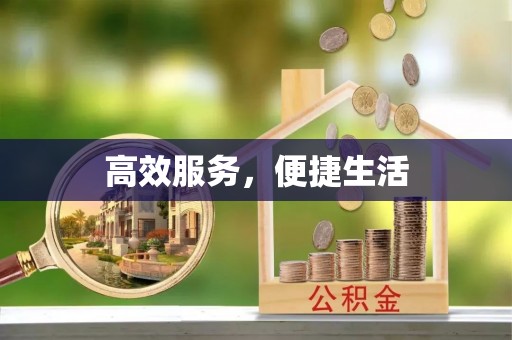 南湖高效服务，便捷生活
