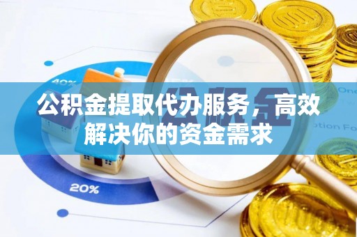 南湖公积金提取代办服务，高效解决你的资金需求