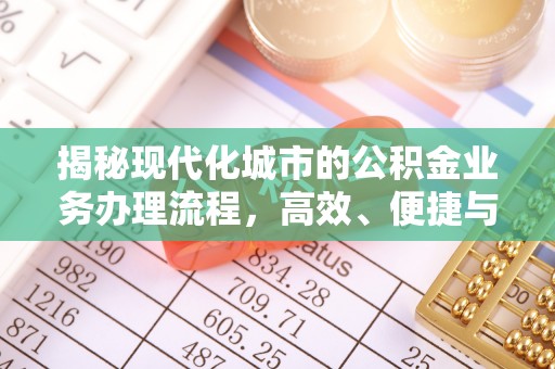 南湖揭秘现代化城市的公积金业务办理流程，高效、便捷与未来趋势