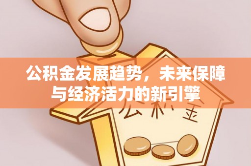 南湖公积金发展趋势，未来保障与经济活力的新引擎