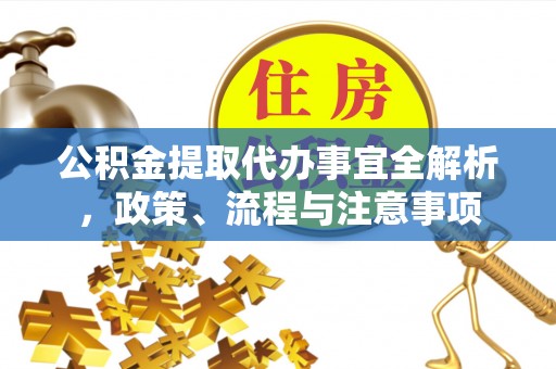 南湖公积金提取代办事宜全解析，政策、流程与注意事项