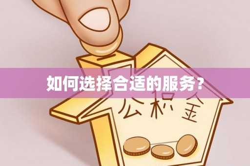 南湖如何选择合适的服务？