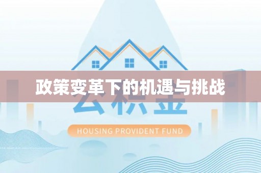 南湖政策变革下的机遇与挑战