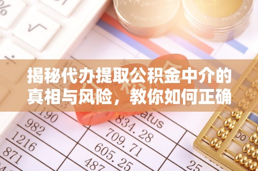 南湖揭秘代办提取公积金中介的真相与风险，教你如何正确操作