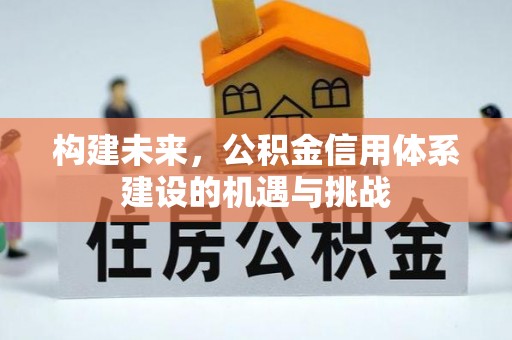 南湖构建未来，公积金信用体系建设的机遇与挑战