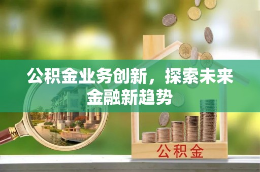 南湖公积金业务创新，探索未来金融新趋势