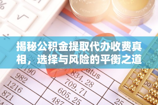 南湖揭秘公积金提取代办收费真相，选择与风险的平衡之道