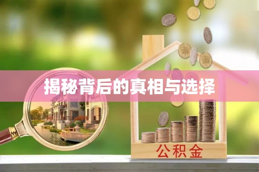 南湖揭秘背后的真相与选择