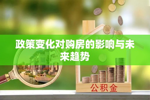 南湖政策变化对购房的影响与未来趋势