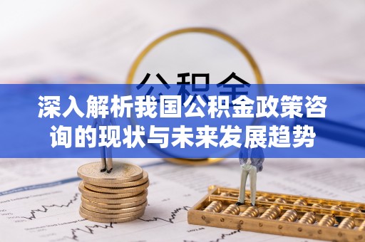 南湖深入解析我国公积金政策咨询的现状与未来发展趋势