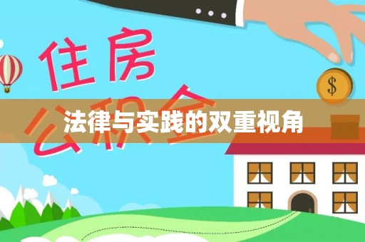 南湖法律与实践的双重视角