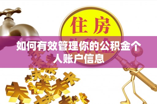 南湖如何有效管理你的公积金个人账户信息