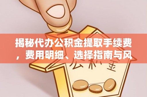 南湖揭秘代办公积金提取手续费，费用明细、选择指南与风险防范