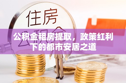 南湖公积金租房提取，政策红利下的都市安居之道