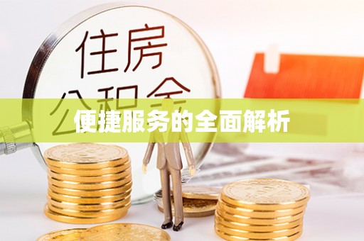 南湖便捷服务的全面解析
