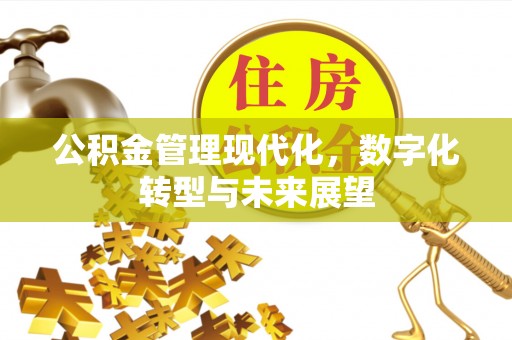 南湖公积金管理现代化，数字化转型与未来展望