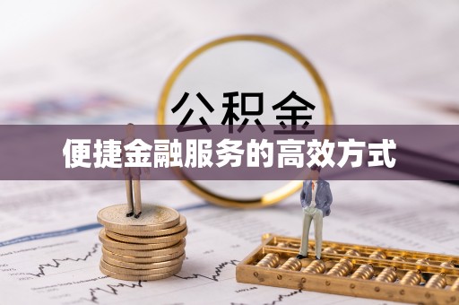 南湖便捷金融服务的高效方式