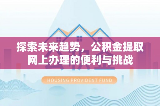 南湖探索未来趋势，公积金提取网上办理的便利与挑战