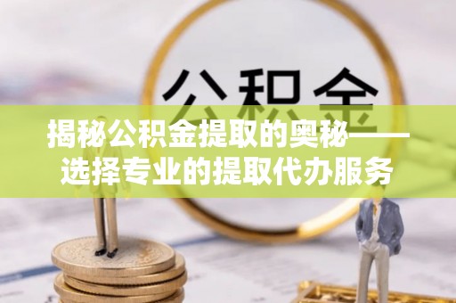 南湖揭秘公积金提取的奥秘——选择专业的提取代办服务