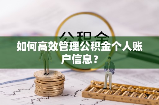 南湖如何高效管理公积金个人账户信息？