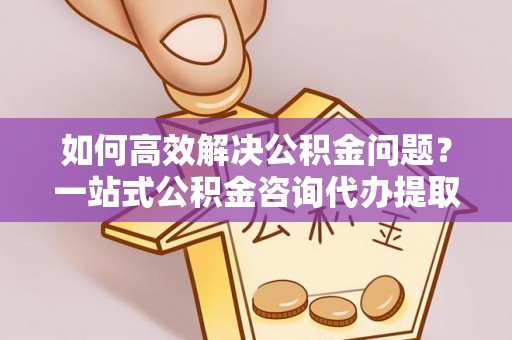 南湖如何高效解决公积金问题？一站式公积金咨询代办提取服务全解析