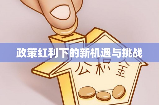 南湖政策红利下的新机遇与挑战