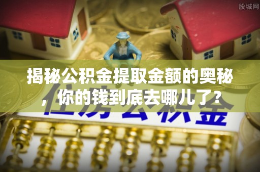 南湖揭秘公积金提取金额的奥秘，你的钱到底去哪儿了？