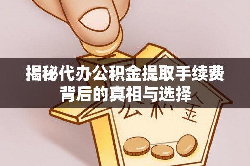 南湖揭秘代办公积金提取手续费背后的真相与选择