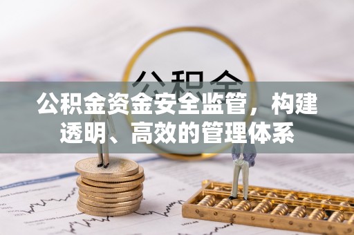南湖公积金资金安全监管，构建透明、高效的管理体系