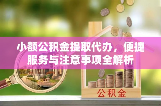 南湖小额公积金提取代办，便捷服务与注意事项全解析