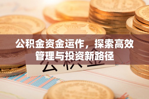 南湖公积金资金运作，探索高效管理与投资新路径
