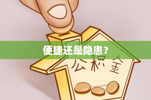 南湖便捷还是隐患？