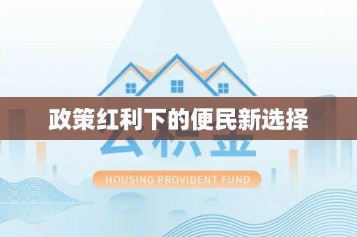 南湖政策红利下的便民新选择