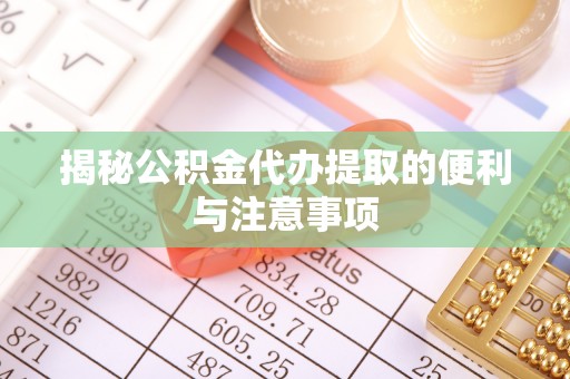 南湖揭秘公积金代办提取的便利与注意事项