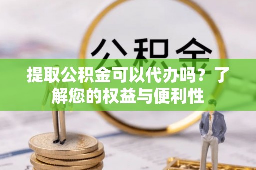 南湖提取公积金可以代办吗？了解您的权益与便利性