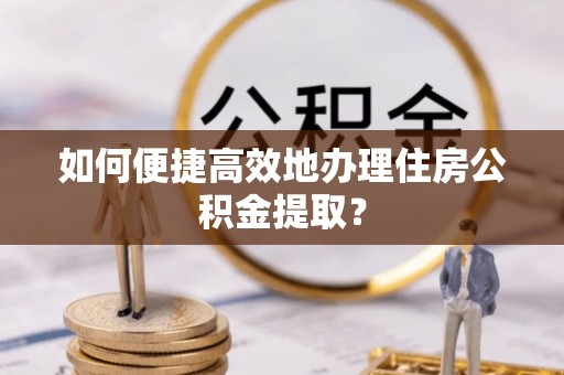 南湖如何便捷高效地办理住房公积金提取？
