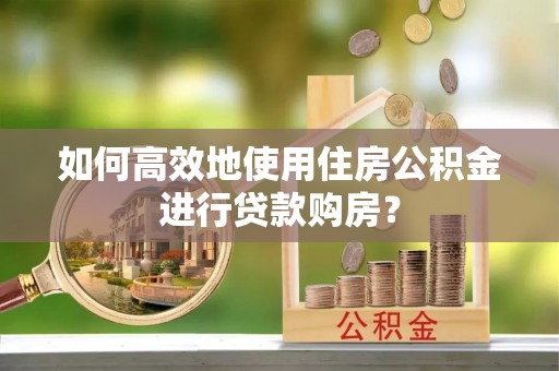 南湖如何高效地使用住房公积金进行贷款购房？