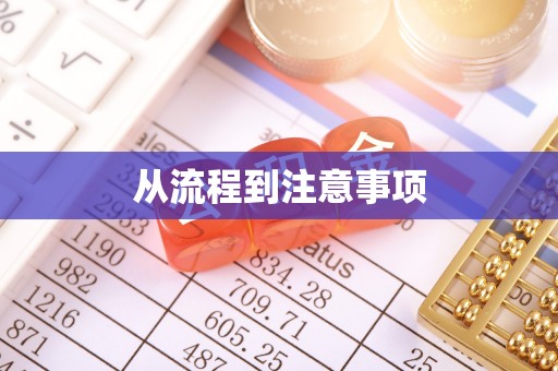 南湖从流程到注意事项