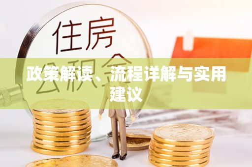 南湖政策解读、流程详解与实用建议