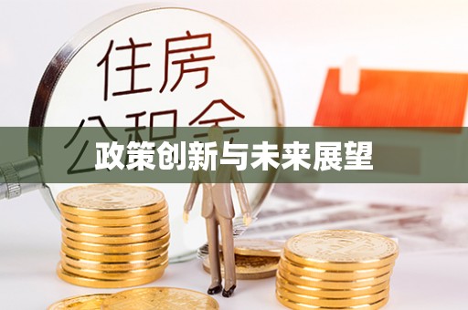 南湖政策创新与未来展望