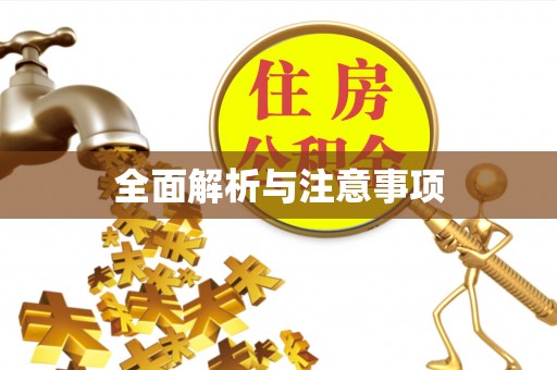南湖全面解析与注意事项