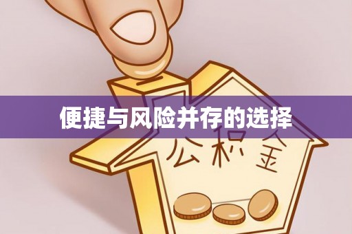 南湖便捷与风险并存的选择