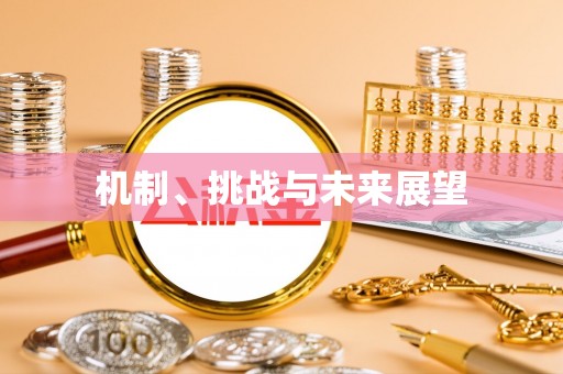 南湖机制、挑战与未来展望
