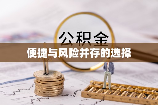 南湖便捷与风险并存的选择