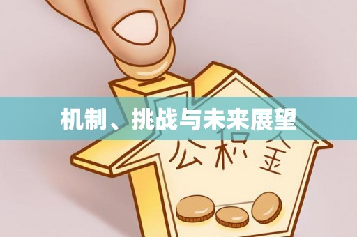 南湖机制、挑战与未来展望